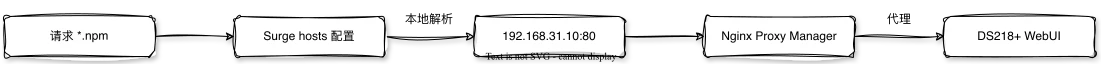 NPM_Surge_proxy.drawio.webp